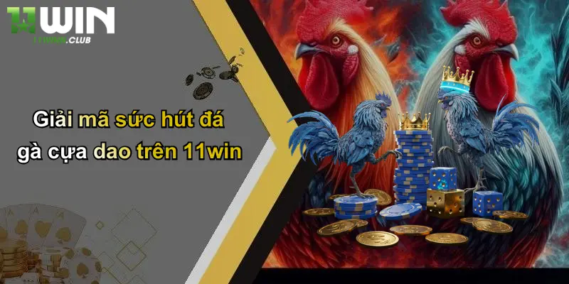 Giải mã sức hút đá gà cựa dao trên 11win