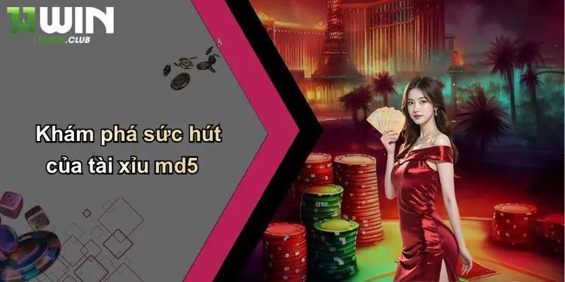 Tài Xỉu MD5: Cuộc Chơi Đỉnh Cao, Trải Nghiệm An Toàn Tại 11WIN 2 Khám phá sức hút của tài xỉu md5