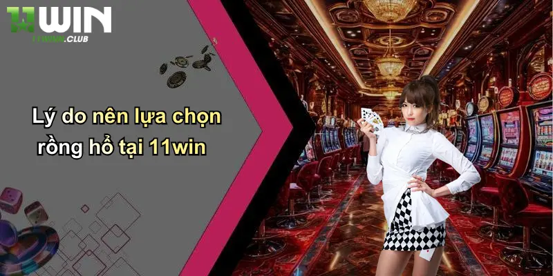 Rồng Hổ: Cá Cược Hấp Dẫn, Thưởng Lớn Mỗi Ngày Tại 11WIN 3 Lý do nên lựa chọn rồng hổ tại 11win